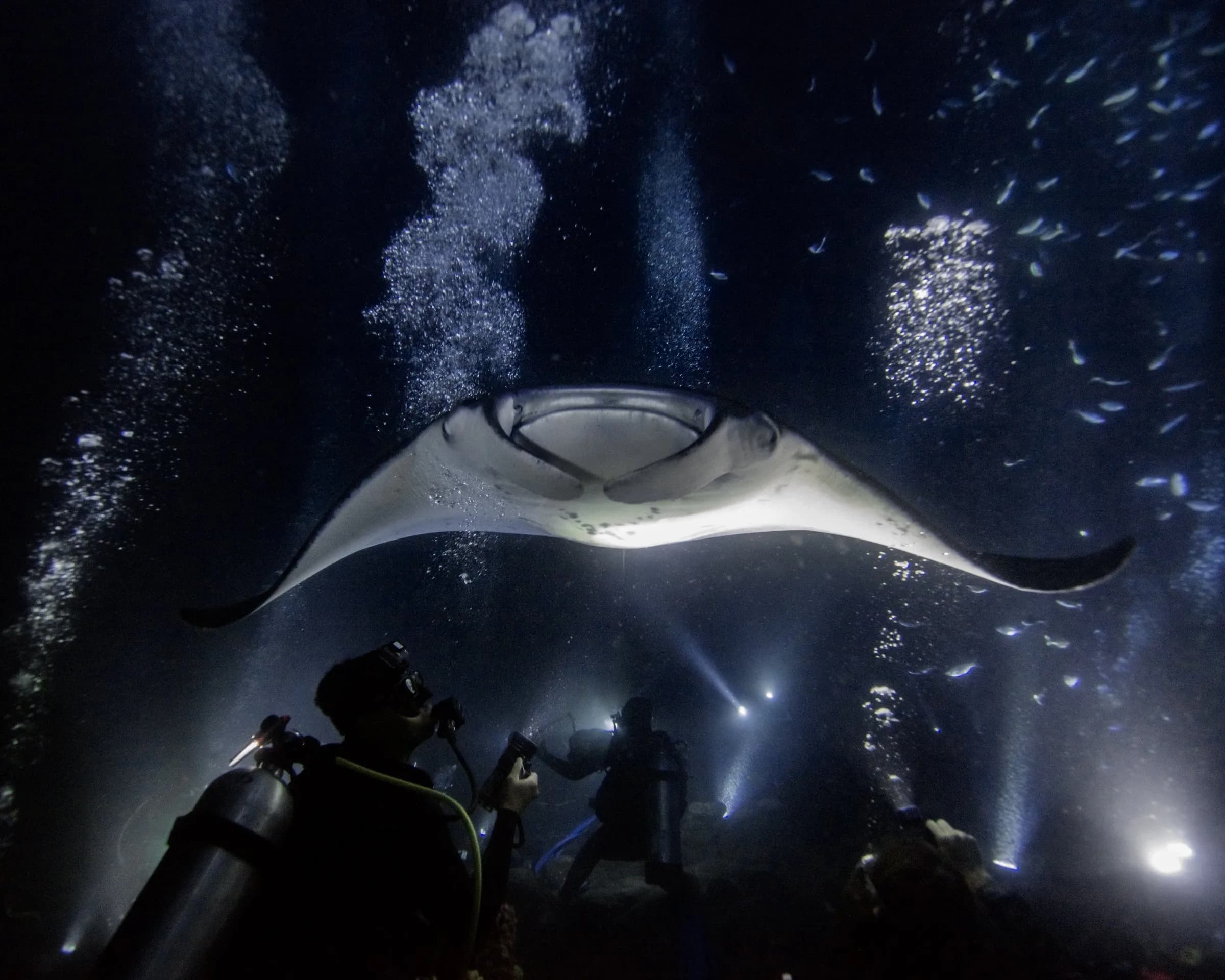 Scuba Diving